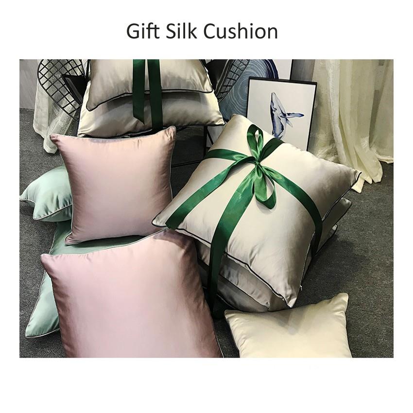 cushion1-1